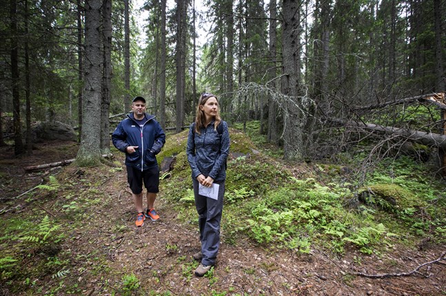 Antti Mäkelä och Hanna Möuts är två av de sommarstugeägare som kämpat för att skogen på Fårörarna inte ska huggas ner.