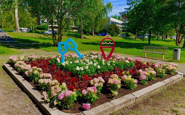 Blomsterprakt i Vasa, midsommaren 2019.