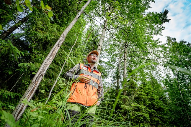 Skogsbruksingengör Ahti Räinä hoppas att Karlebyborna för fram sina åsikter om skogarnas framtid.