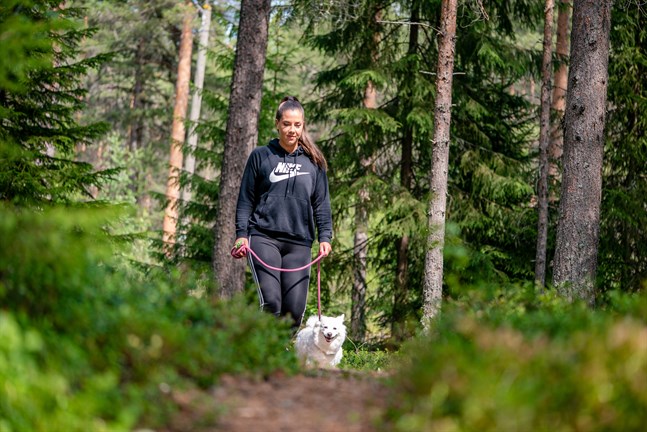 Nyhetsbild