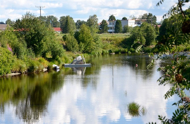 Smoltfällan som placerats i Lappfjärds å fångade mer smolt än förväntat, vilket var en positiv överraskning för de inblandade.
