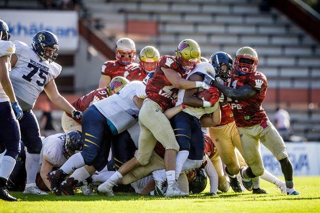 Wasa Royals förstärker sitt försvar.