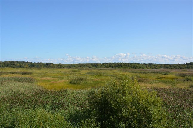 Nyhetsbild