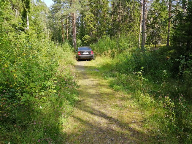 Nyhetsbild