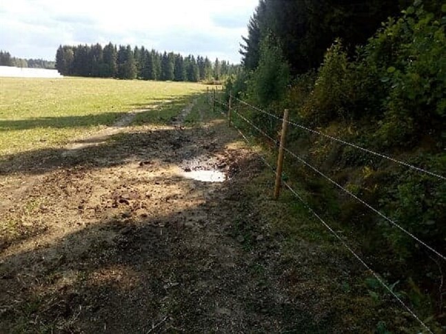 Nyhetsbild