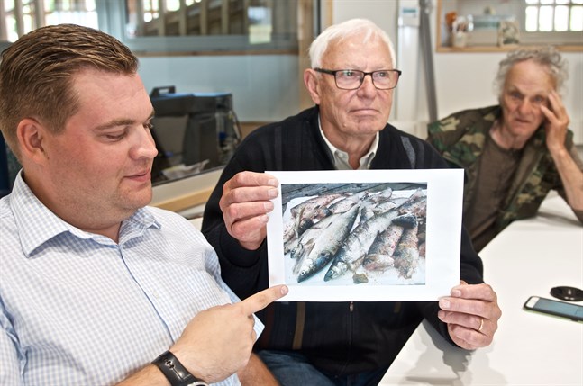 Markus Norrback pekar på bilden över skarvätna sikar som Johan Stoor visar upp. I bakgrunden Erik Söderholm från Malax-Närpes fiskeområde.