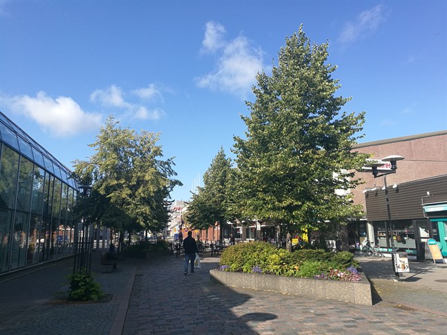 Ljuskonstverken ska ersätta lindarna i den sex salmiakformade blomsterplanteringarna på gågatan.