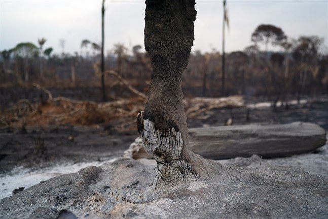Bränderna i Amazonas upprör många. Men Brasilien säger sig inte ha resurser att få stopp på dem.