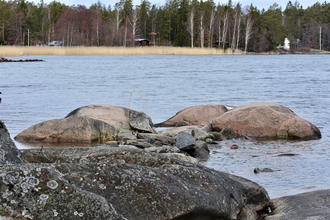 Nyhetsbild