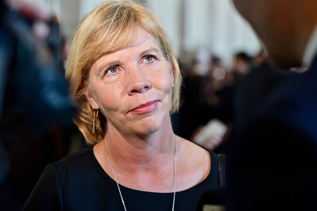 SFP:s ordförande Anna-Maja Henriksson säger att partiet via det nya företagspolitiska nätverket vill vara med och bygga mer omfattande näringslivspolitiska broar och nätverk mellan regioner, men också mellan länder.