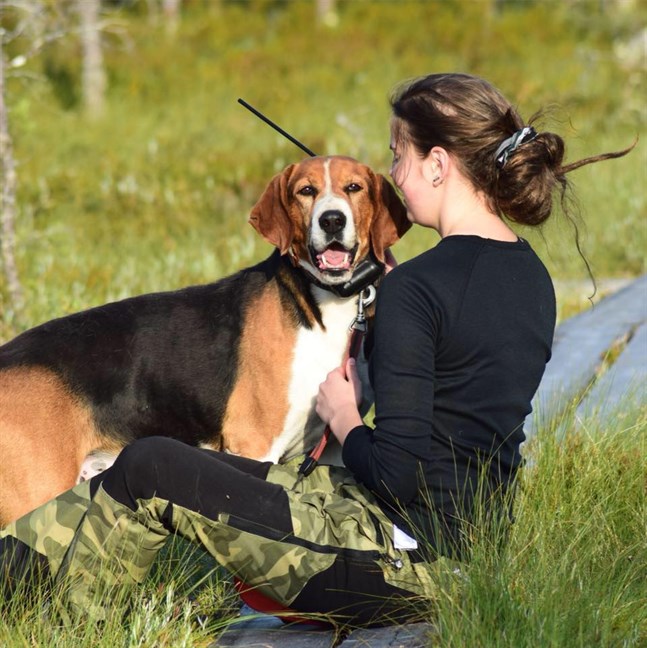 Malin Sjöblom tillsammans med hunden Rassi, en stövare som jagar hare.