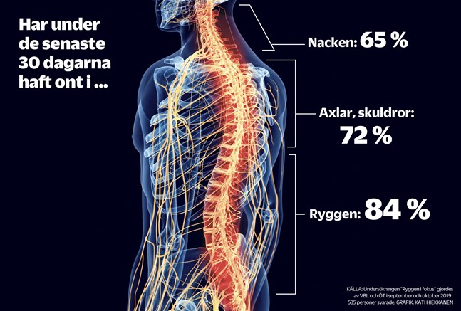 Så svarade de 535 personer som deltog i undersökningen "Ryggen i fokus".