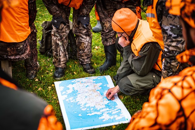 I år ska det hållas rejält med säkerhetsavstånd under älgjakten och bara de som känner sig helt friska får delta. Bilden är från älgjakten i Eugmo i Larsmo i fjol.