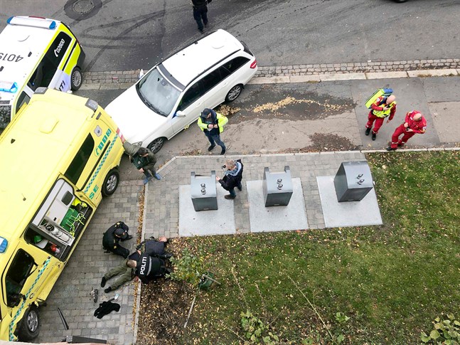 Polisen arresterar den man som misstänks ha stulit en ambulans och kört på en mor och hennes tvillingbebisar i Oslo.