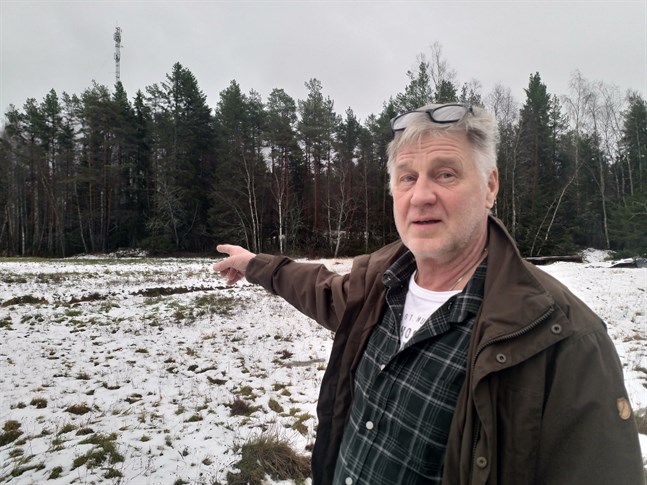 Staffan Rönnbacka såg två rådjur i skogsbrynet i torsdags morse. Han gläds åt att de är tillbaka vid matningsplatsen.