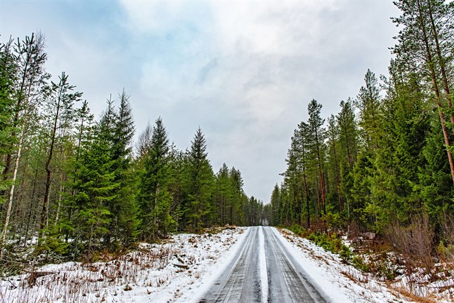 Att profilera sig som en vindkraftfri kommun skulle vara en verklig fjäder i hatten för Pedersöre, skriver Mathias Nystrand och Rebecca Nylund. Bilden är från Mastbacka vindkraftsområde.