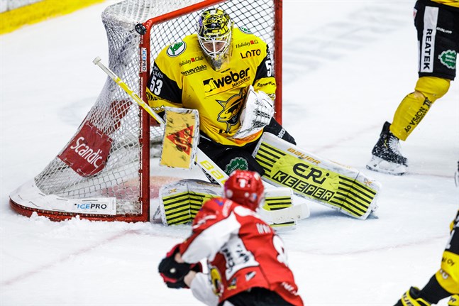 Niclas Westerholm i SaiPas mål höll sin fjärde nolla i FM-ligan.
