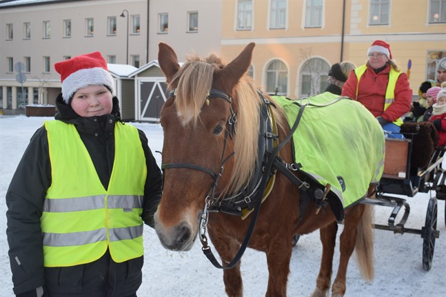 Valter och Marika Hemgård (vid tömmarna) från Storstara gård hade tagit finnhästen Viivi till torget för att erbjuda skjuts åt barnen.