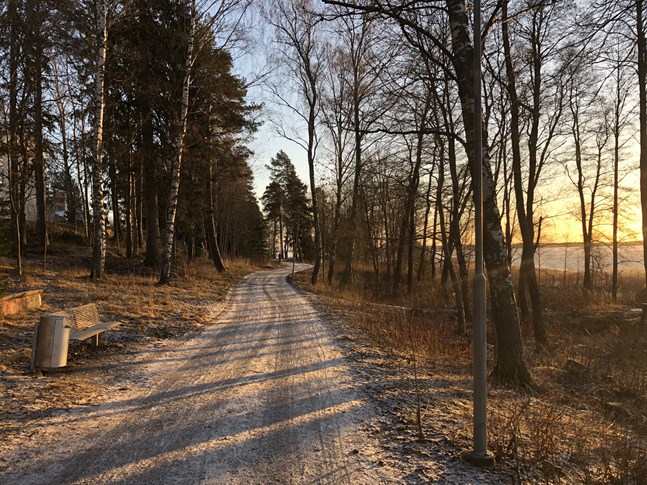 Kvinnan blev överfallen vid strandpromenaden på annandag jul.