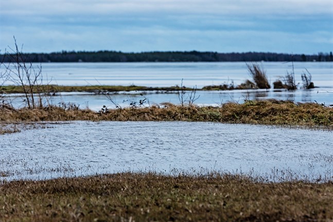Surheten i Larsmo-Öjasjön och dess tillflöden kollas nu regelbundet. Nya prover tas om två veckor.