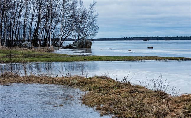 Nya vattenprover tas på tisdag i Larsmo-Öjasjön och dess tillflöden.