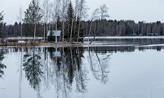 Surheten i Larsmo-Öjasjön har minskat något och därför kan regleringen återgå till det normala.