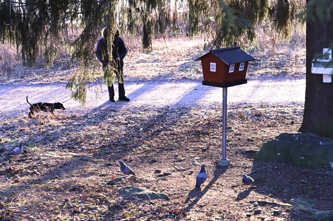 Här, vid fågelmatningen i Gustavsborg, hade någon slängt ut köttbullar och korvbitar. Personen och hunden har inget med händelsen att göra.