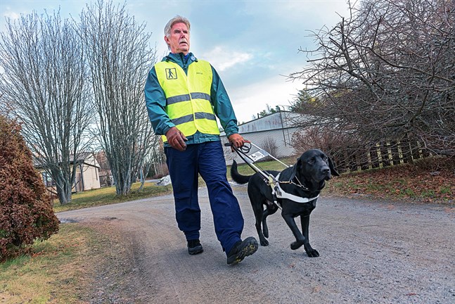 Bengt Ahlvik har fått en ny ledarhund. Silmu är två år och nyutbildad för sitt arbete.