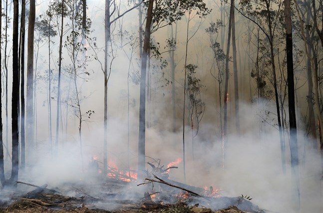 Delar av östra Australien ser fram emot regn som kommer senare i veckan. Här en brand i Bodalla som räddningstjänsten har under kontroll. Bild från i söndags.