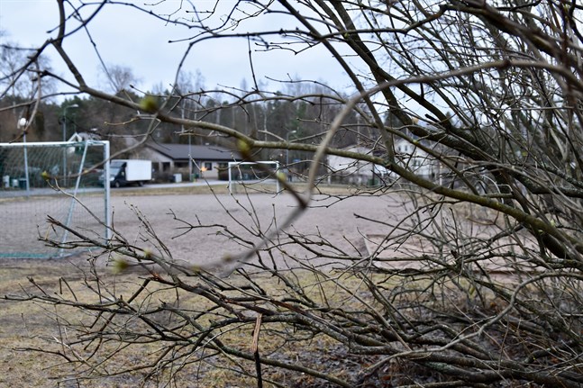 Det exceptionellt varma vädret har fått syrenbuskarna att knoppas i Helsingfors där Meteorologiska institutets väderstation på Malms flygplats uppmätte en temperatur på 7,8 grader Celsius på onsdagen.