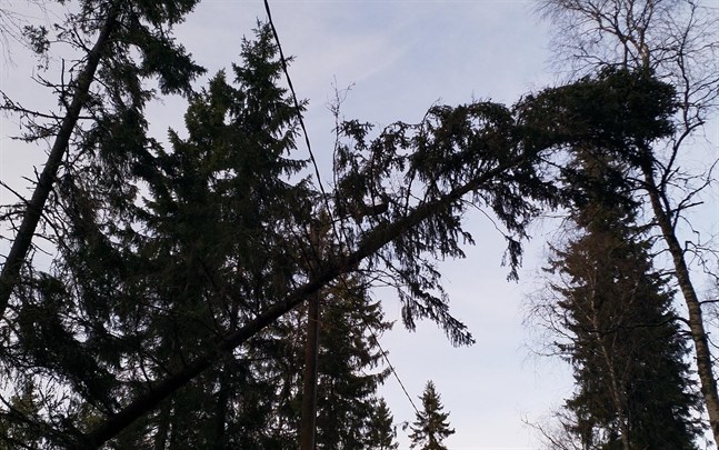 Flera hundra hushåll i Sydösterbotten drabbades av strömavbrott, och brandkåren fick rycka ut för att avlägsna träd som fallit över vägar.