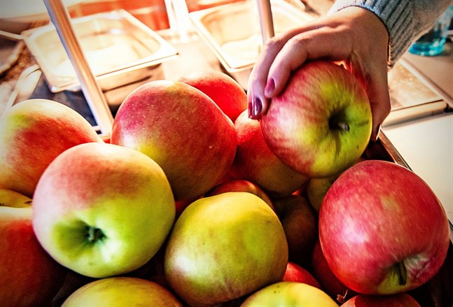 Vid skolorna i Petalax kan frukten och grönsakerna i praktiken bara användas till mellanmål för att kommunen ska få EU-stöd.