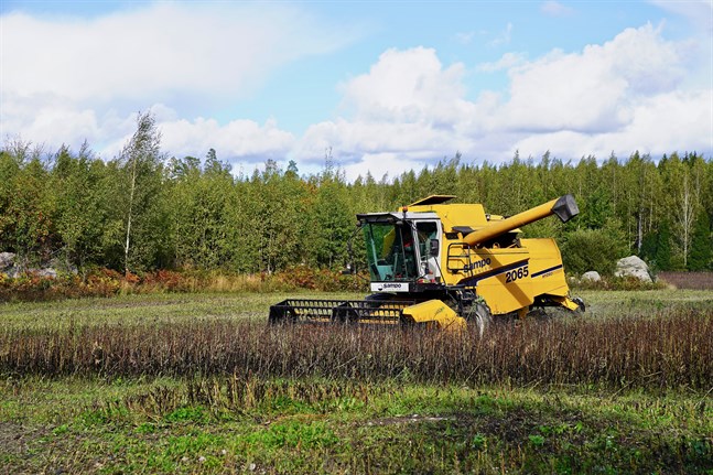 Lantgårdarna blir allt färre i Finland, trenden har hållit i sig i flera år.