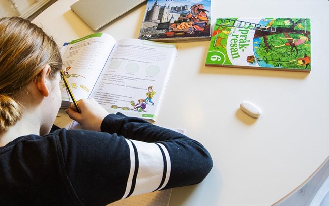 Skoleleverna får olika former av stöd under detta läsår för att reparera skadorna som coronavåren förde med sig.