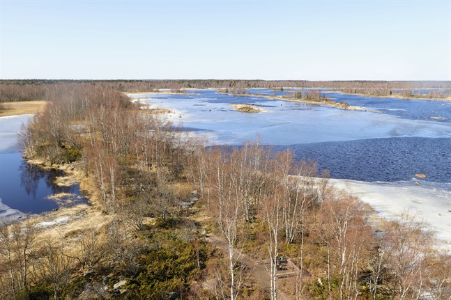 Planerna på ett naturskyddsområde i Kvarken försenas nu på grund av coronaepidemin.
