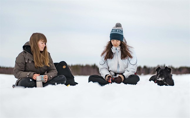 Emilia Wik, Elin Åsvik och hunden Fazer sitter i karantän på en campingplats i Kemijärvi just nu.