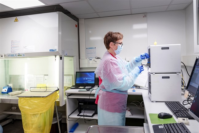 Laboratorieskötare Hannele Koskela jobbar med analysering av två covid-19-prov i Nordlabs laboratorium i Karleby.