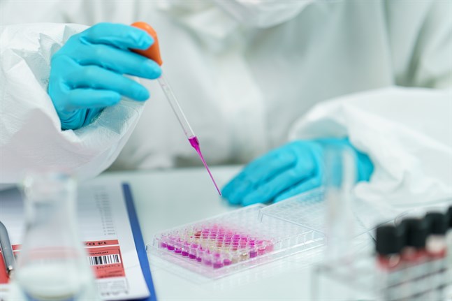 I Finland pågår två separata vaccinprojekt vars syfte är att utveckla ett coronavaccin.