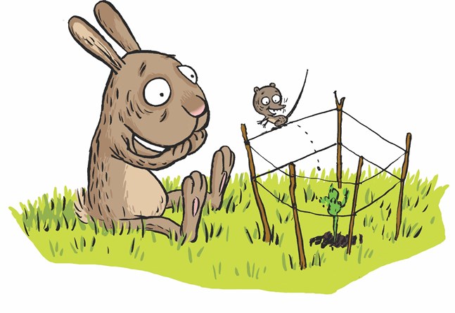 Haren Jinko väntar tålmodigt på att fröet ska växa och bli en morot i Christel Rönns "Jinko och det finurliga fröet". Musen Prilla hjälper till med att ge det näring.