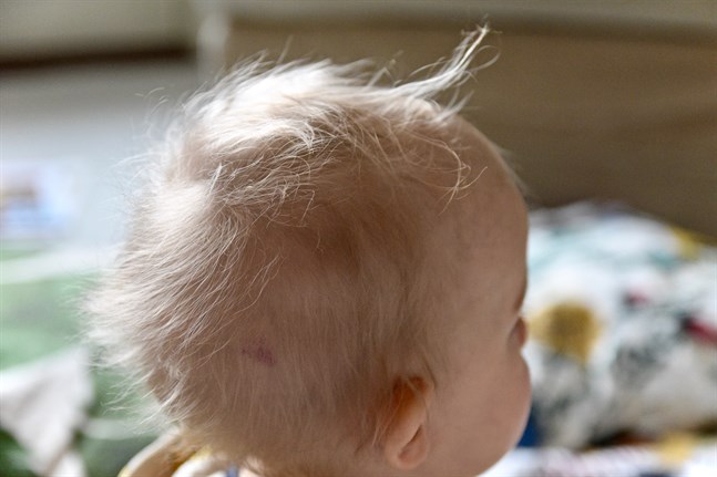 Under 2019 sjönk antalet småbarnsfamiljer med 5 565 i Finland, meddelar Statistikcentralen.