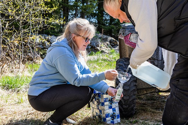 Ann-Kristin Forsell och Johan "Jussi" Storbacka häller upp den färska björksaven i en flaska för att ÖT:s utsända ska få ett smakprov.