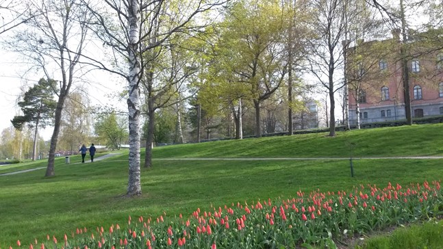 Här i Hovrättsparken har picknickarna fyllt gräsmattorna under coronatidens vackraste kvällar. I helgen lär sommarlovsglada ungdomar samlas i parken.