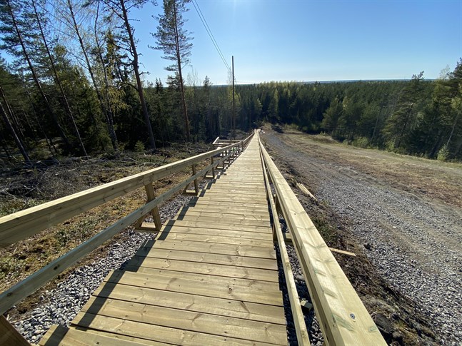 Motionstrappan är den senaste satsningen på Vargberget. Nu är en frisbeegolfbana på gång på Lilla Vargberget.