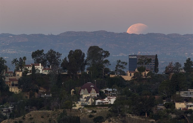 Hollywood Hills i Los Angeles, Kalifornien. Arkivbild.