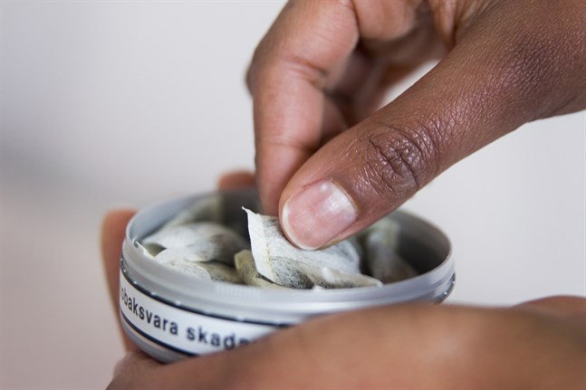 Snusande svenskar kan hjälpa till att förstå varför vissa inte drabbas av allvarliga komplikationer av covid-19. Arkivbild.