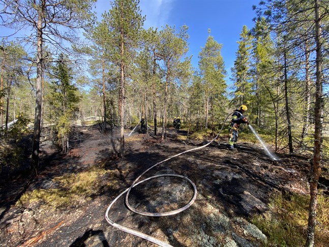 Brandkåren släcker en skogsbrand vi Risöhällvägen i Larsmo.