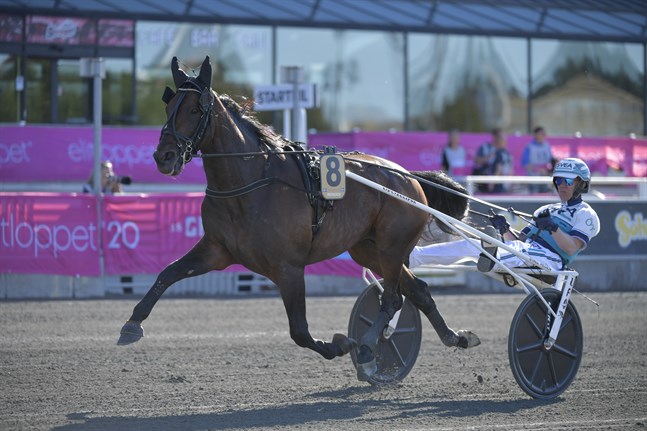 Propulsion med Örjan Kihlström i sulkyn tog sig till final i Elitloppet trots tufft utgångsläge.