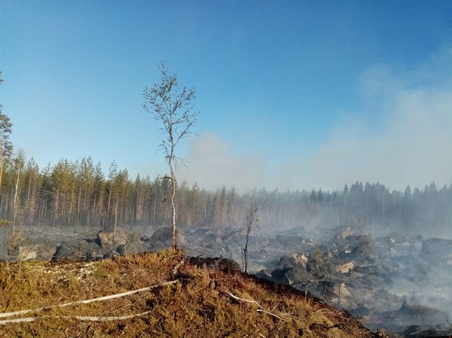 Femton enheter var på plats för att släcka branden.