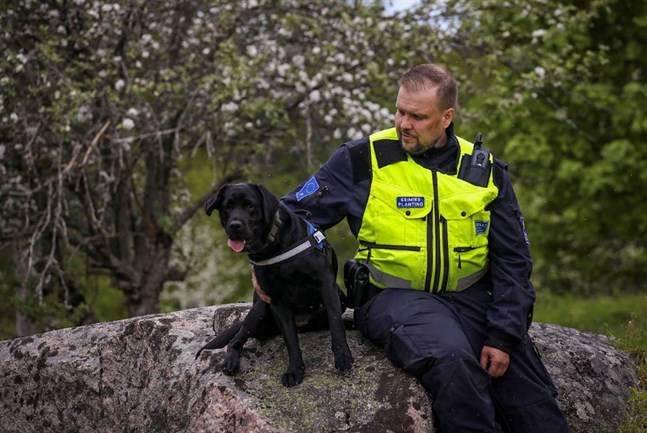 Den ryska labradoren Jutta är nu färdigutbildad tullhund vid finska tullen.