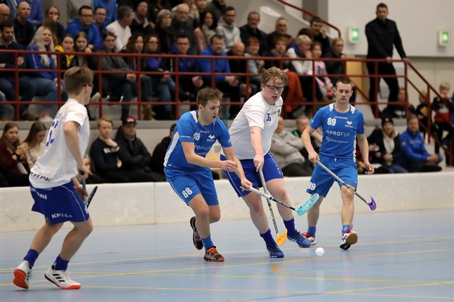 Blue Fox gör farmavtal med SPV. Arkivfoto.